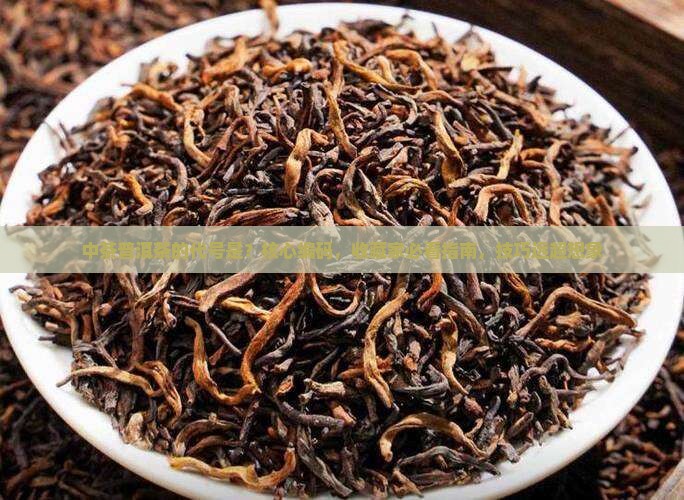中茶普洱茶的代号是