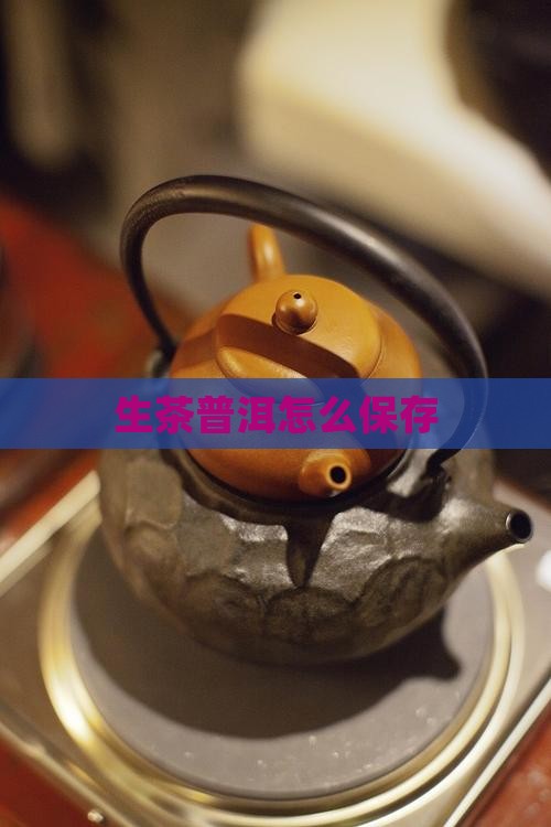 生茶普洱怎么保存
