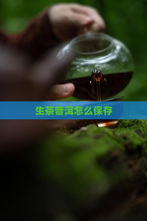生茶普洱怎么保存