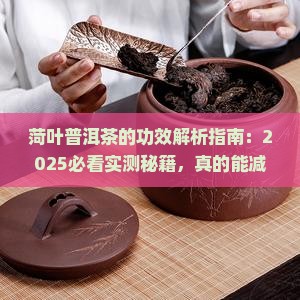 菏叶普洱茶的功效