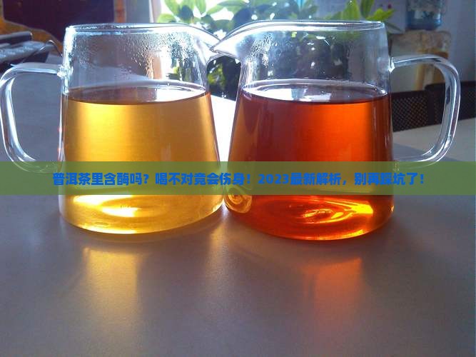 普洱茶里含酶吗