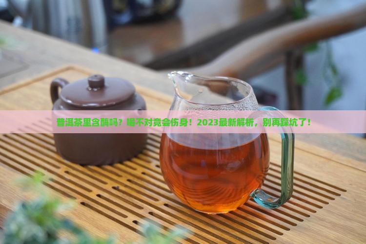 普洱茶里含酶吗