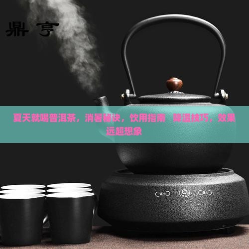 夏天就喝普洱茶