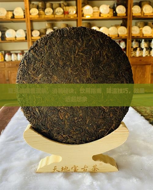 夏天就喝普洱茶