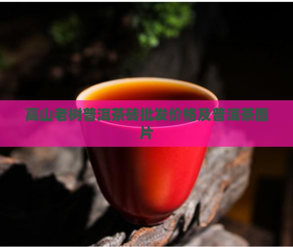 高山老树茶普洱茶砖