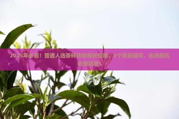 什么品牌的茶杯好哪种茶杯好