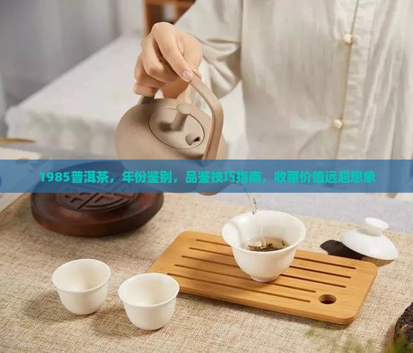 1985普洱茶
