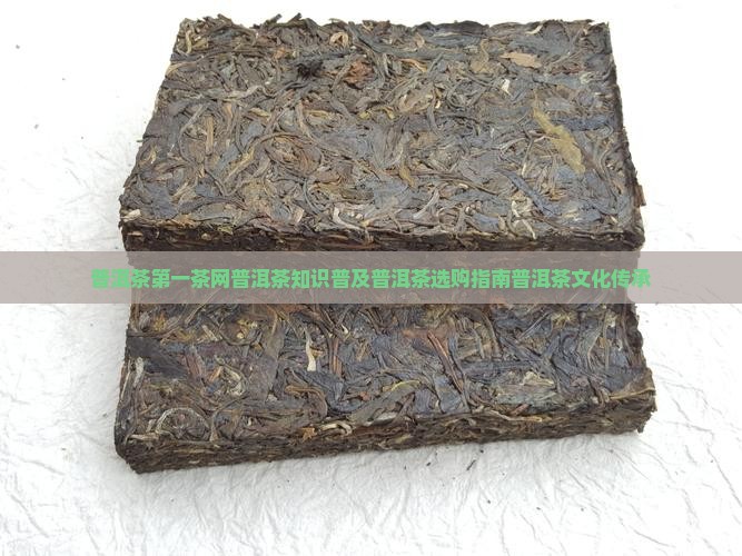 普洱茶第一茶网