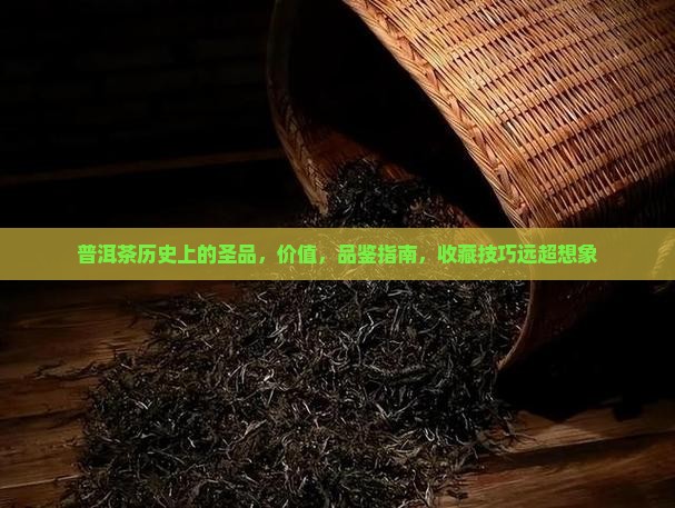 普洱茶历史上的圣品