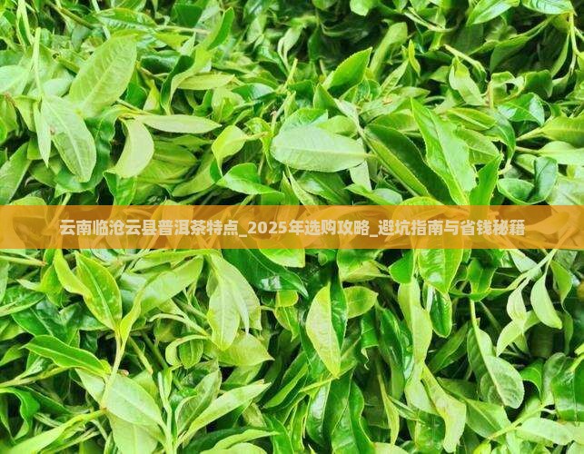 云南临沧云县普洱茶特点