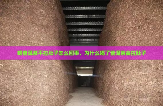 喝普洱茶不拉肚子怎么回事