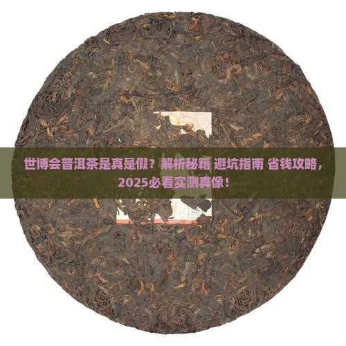 世博会普洱茶是什么