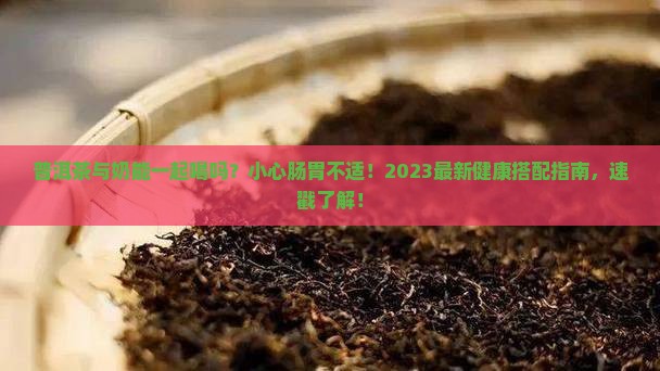 普洱茶与奶能一起喝吗