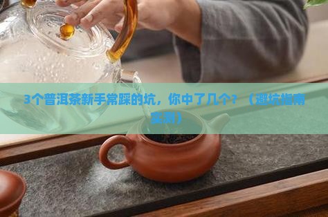 普洱茶国家标准定义