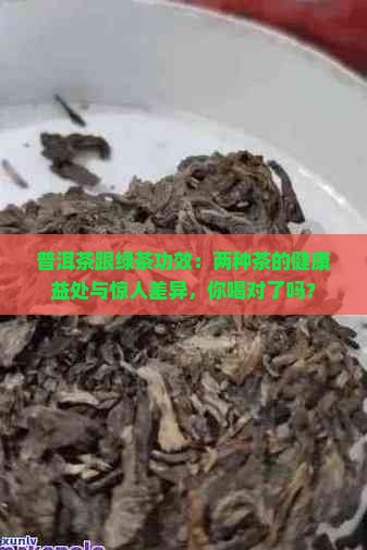普洱茶跟绿茶功效