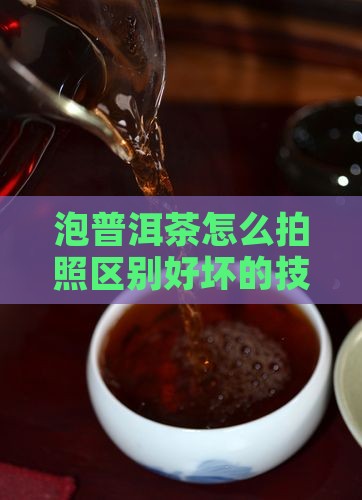 泡普洱茶怎么拍照区别好坏