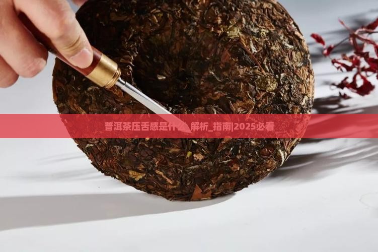 普洱茶压舌感是什么