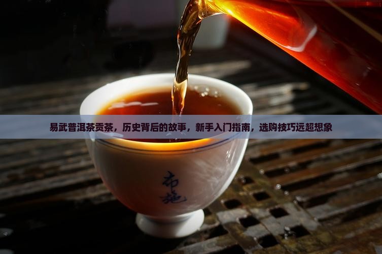 易武普洱茶贡茶