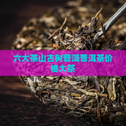 六大古树陈年普洱茶价格