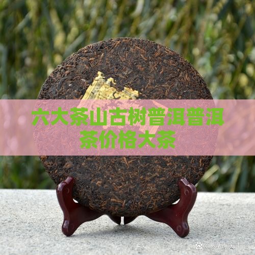 六大古树陈年普洱茶价格