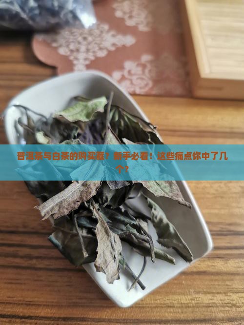 普洱茶与白茶的购买藏