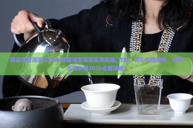 陶壶泡普洱茶可以吗