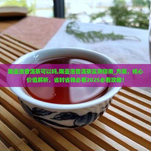 陶壶泡普洱茶可以吗