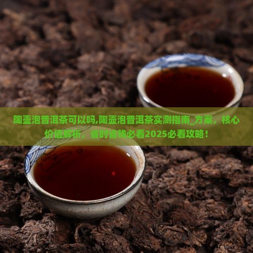 陶壶泡普洱茶可以吗