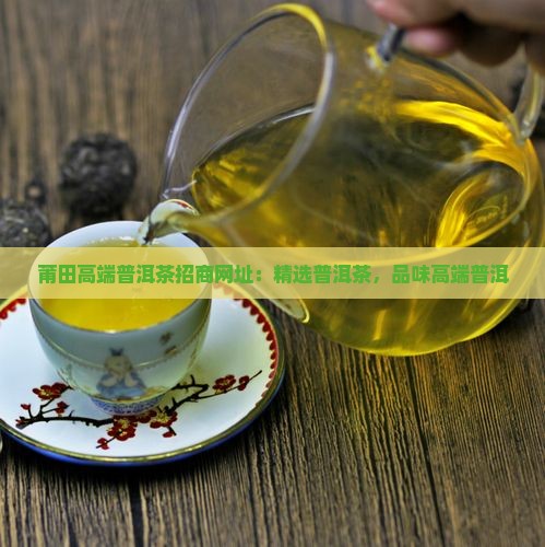 莆田高端普洱茶招商网址