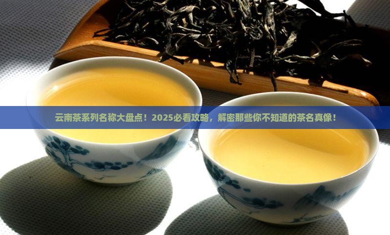 云南茶系列名称
