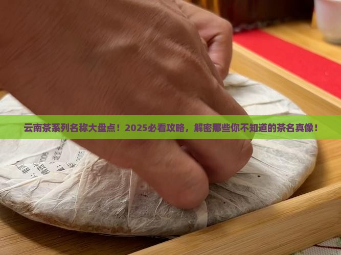云南茶系列名称