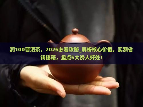 润100普洱茶