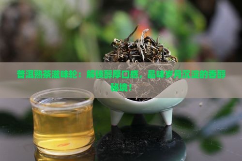 普洱熟茶滋味轮