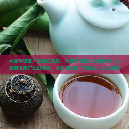 大益普洱茶厂地址