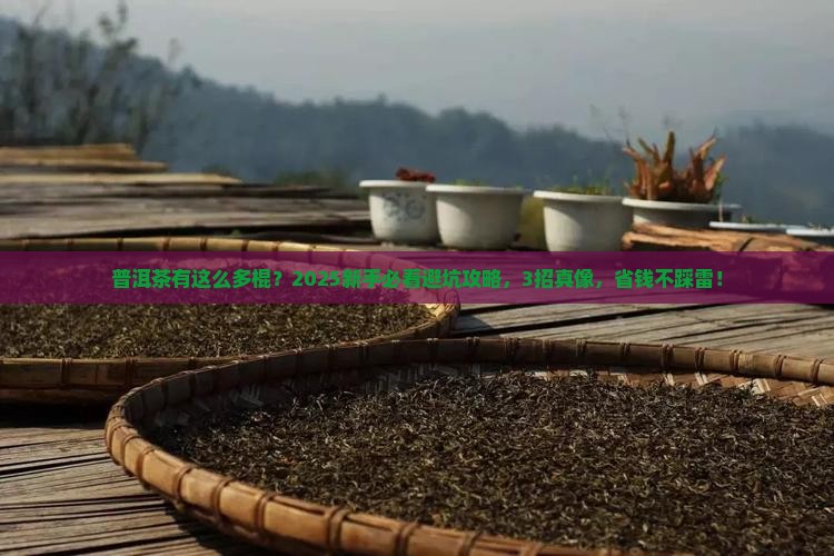 普洱茶有很多棍