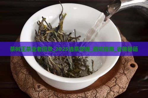茶树王茶业老班章