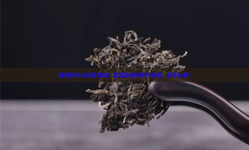 普洱茶木头味正常嘛