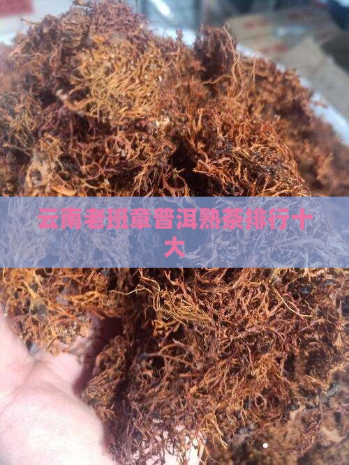 云南老班章熟茶排行