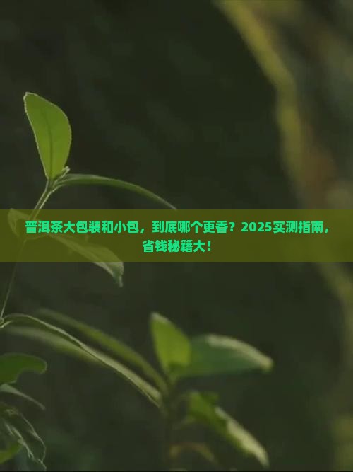 普洱茶大包装好还是小包好
