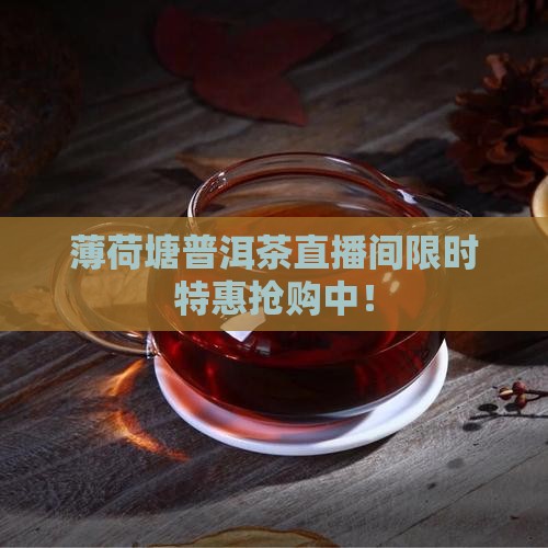 薄荷塘普洱茶直播间
