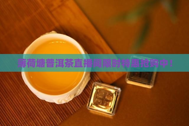 薄荷塘普洱茶直播间