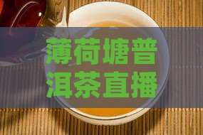 薄荷塘普洱茶直播间