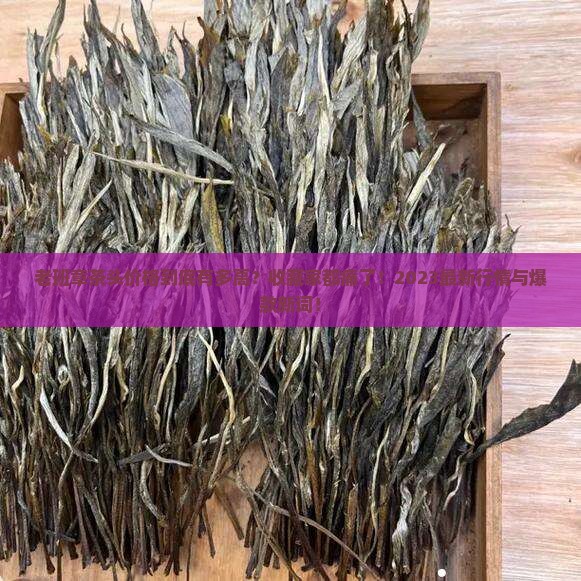 老班章茶头价格