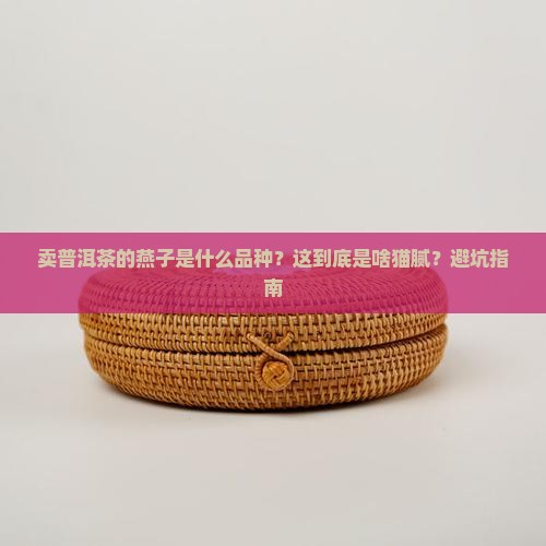 卖普洱茶的燕子是什么品种