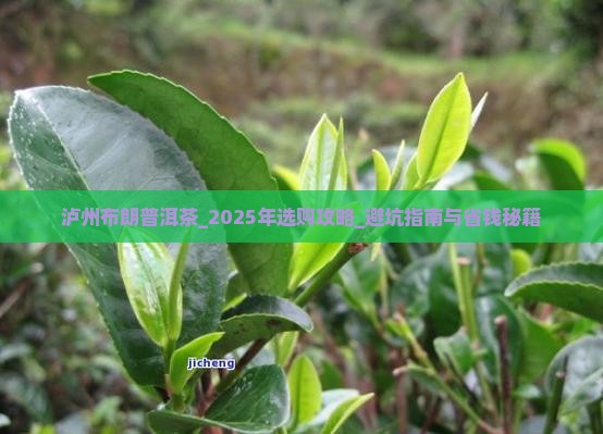 泸州布朗普洱茶