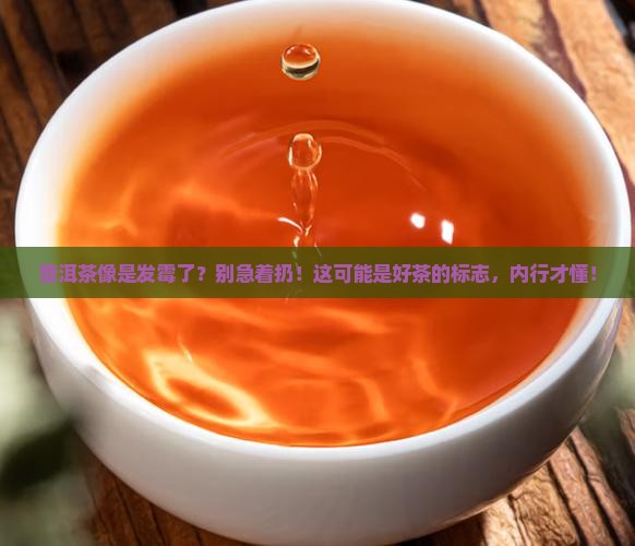 普洱茶像是发霉了