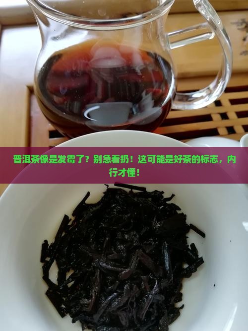 普洱茶像是发霉了