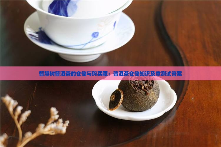 智慧树普洱茶的仓储与购买藏