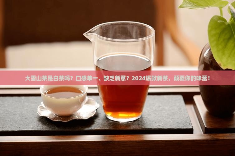 大雪山茶是白茶吗