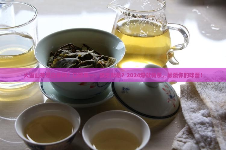 大雪山茶是白茶吗